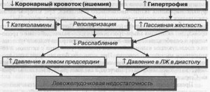 Факторы, влияющие на расслабление левого желудочка