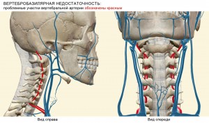 Особенности развития недостаточности